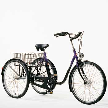 Haverich tricycle online