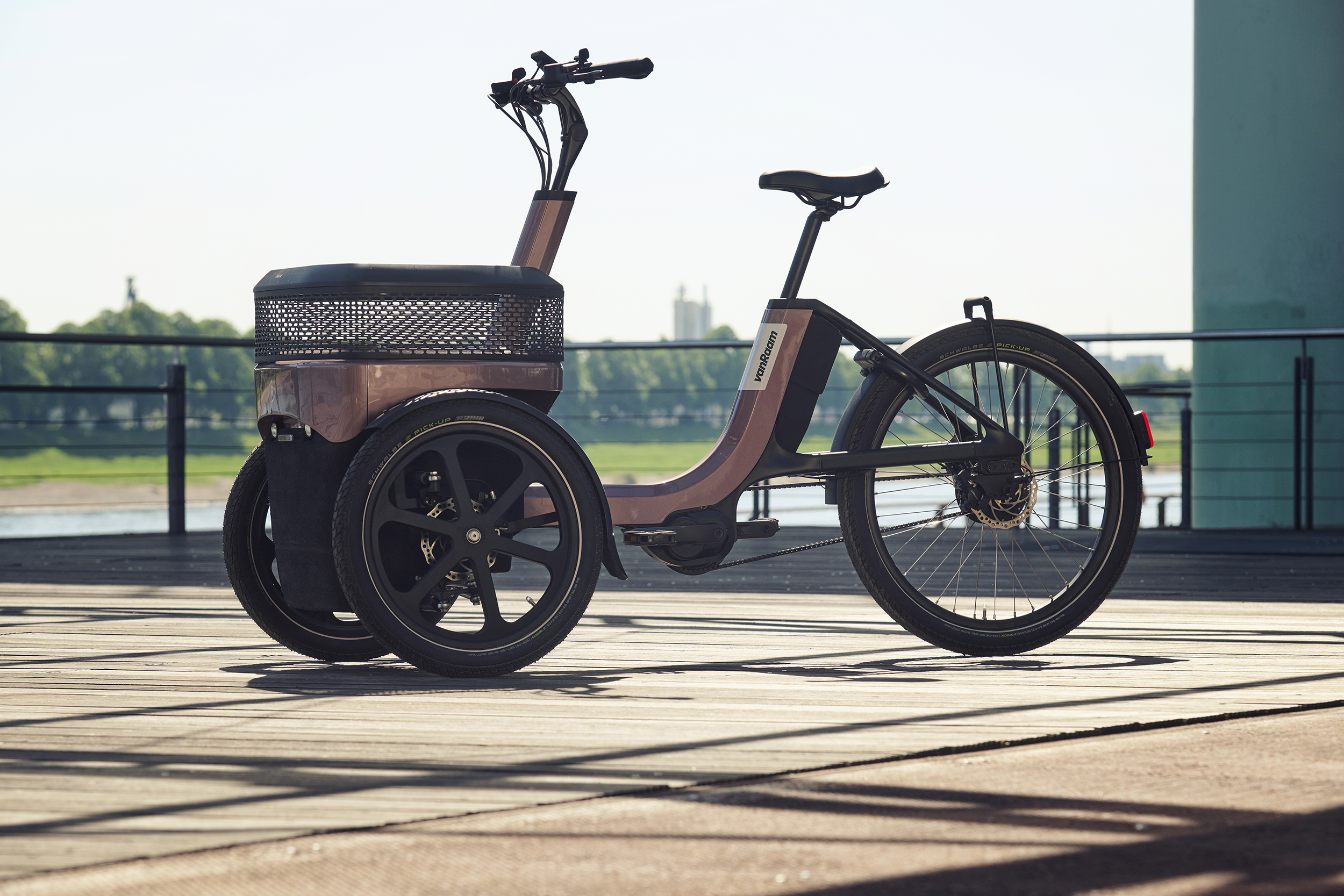 vanRaam Thuja bike dusty taupe 1