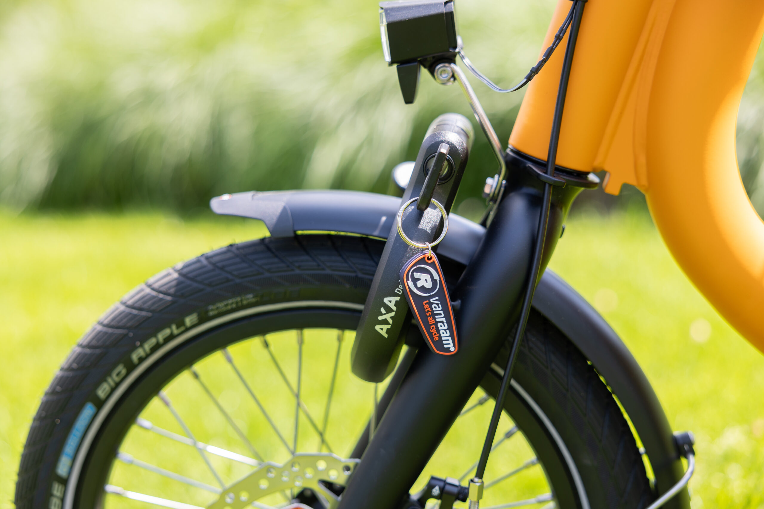 Vanraam Easy Rider Compact Small Tricycle - Image 11