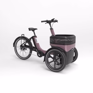 Vanraam Thuja Cargo Tricycle