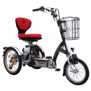 Vanraam Easy Go Scooter Bike