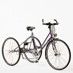 Haverich Tricycle 27” Racer
