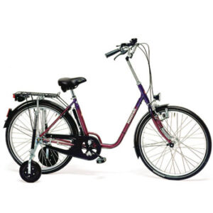 Haverich Therapy Bicycle 26” TE
