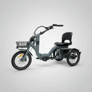 Etnnic Folding Trike Mova